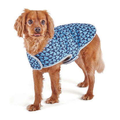 Kazoo Blue Love Snuggie