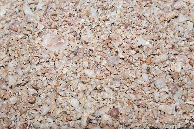 J. McMahons Shell Grit Medium 20kg (WAREHOUSE PICK UP ONLY)