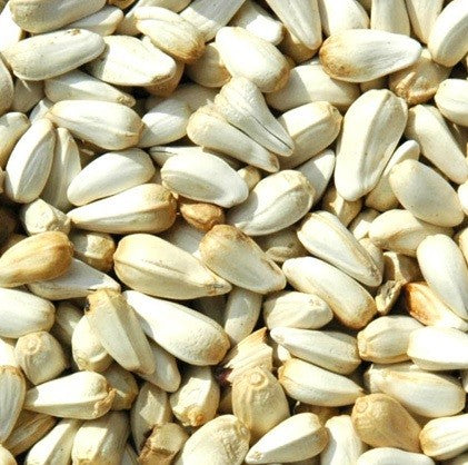Avigrain Safflower