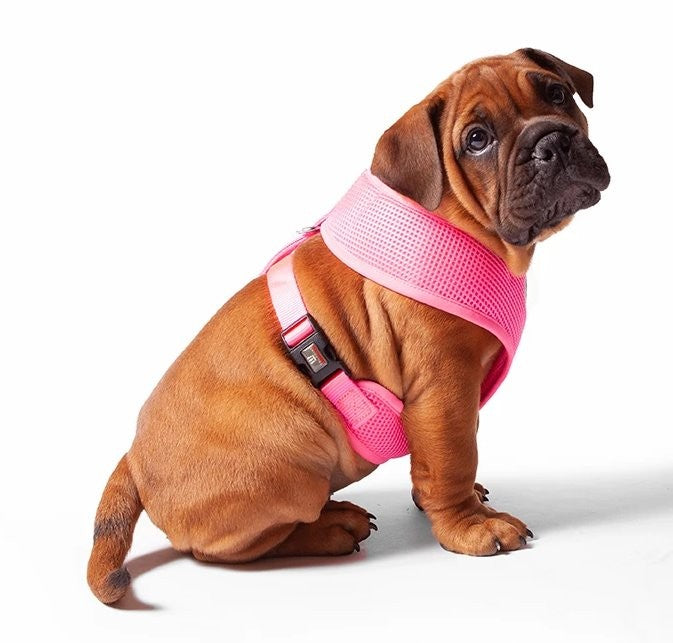 Kazoo Classic Soft Walking Harness - Pink