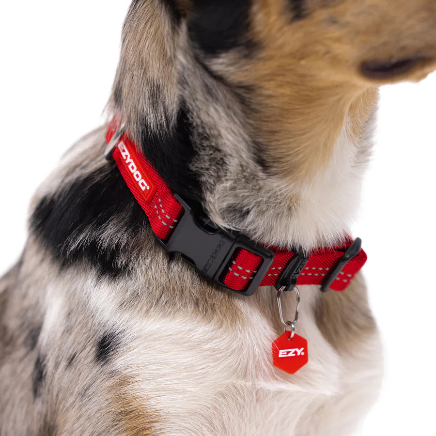 EzyDog Essential Adjustable Collar Palm Green