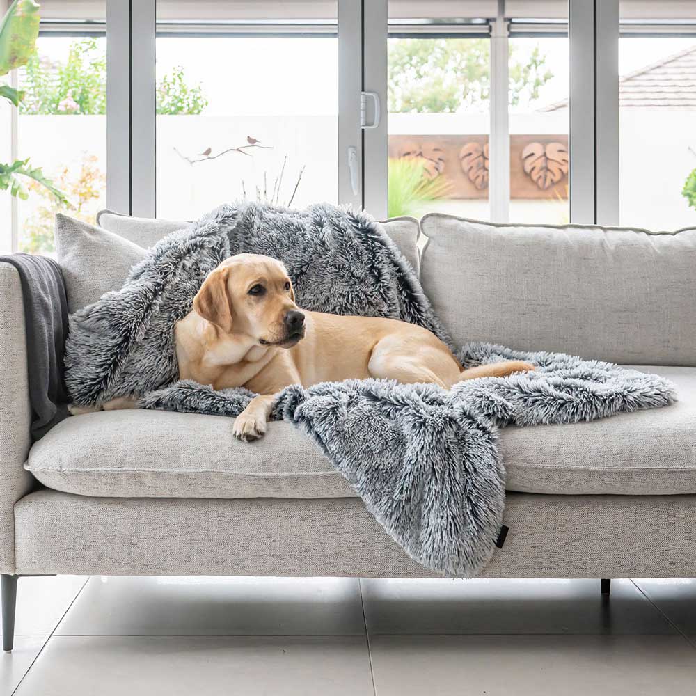 Superior Pet Goods Calming Pet Blanket Water Resistant Dove Grey