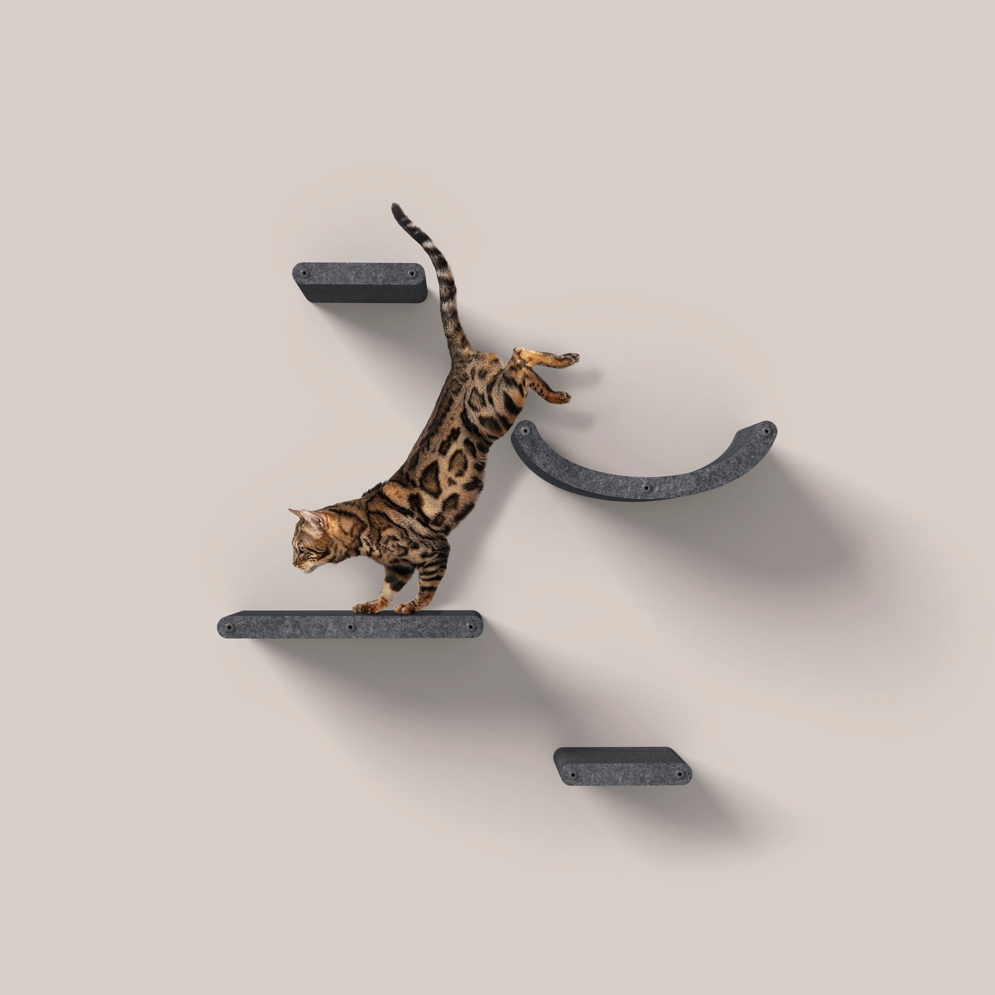 Pryde Set of 4 Charcoal Cat Climbers