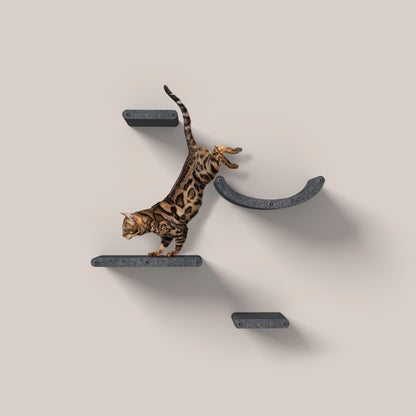 Pryde Set of 4 Charcoal Cat Climbers