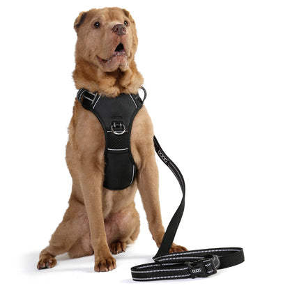 DOOG Neotech Harness Black
