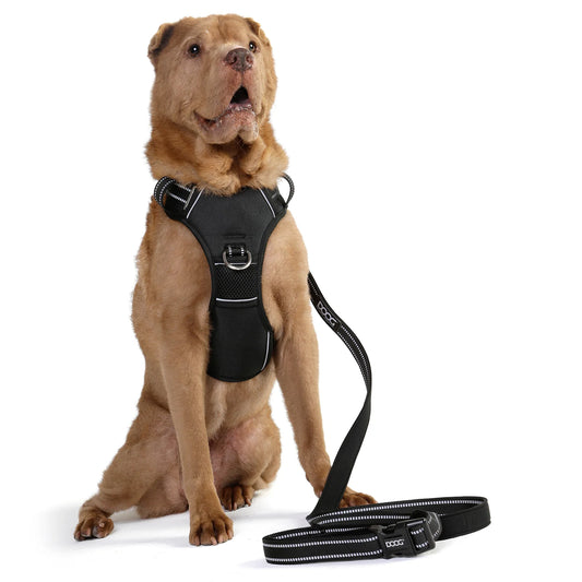DOOG Neotech Harness Black
