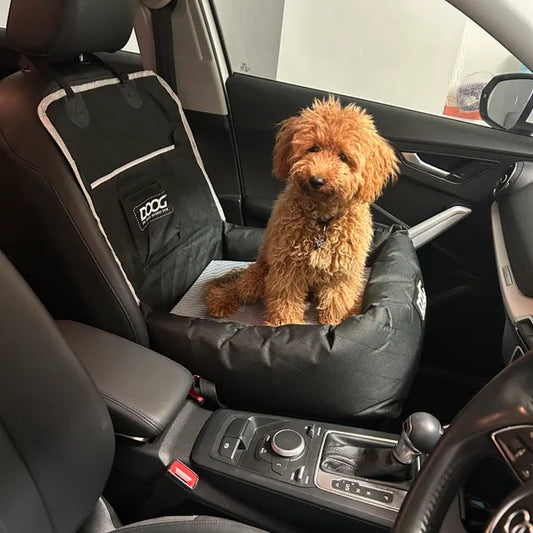 DOOG Car Booster Pillow Small