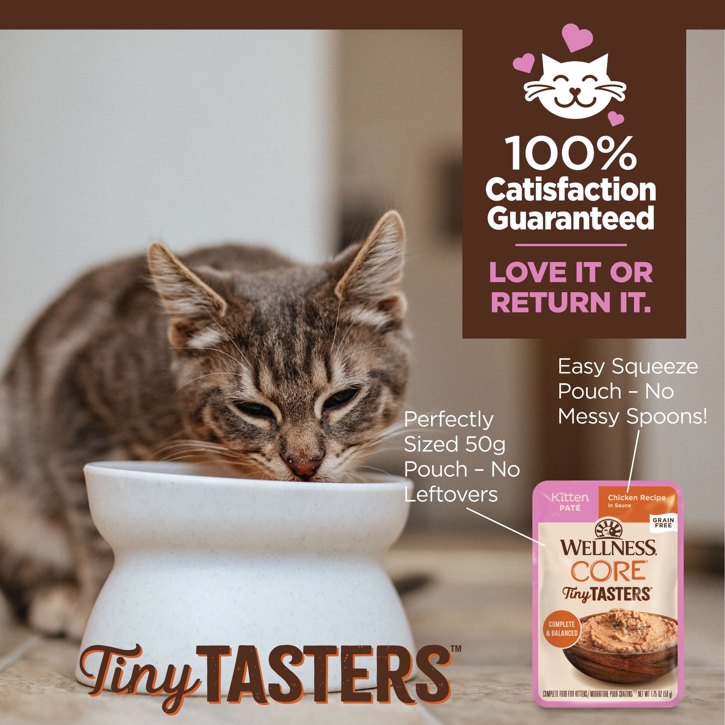 Wellness Core Tiny Tasters for Kittens Chicken Recipe
