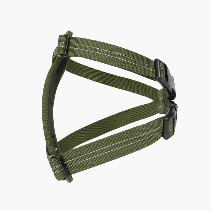 EzyDog Essential Chest Plate Harness Palm Green