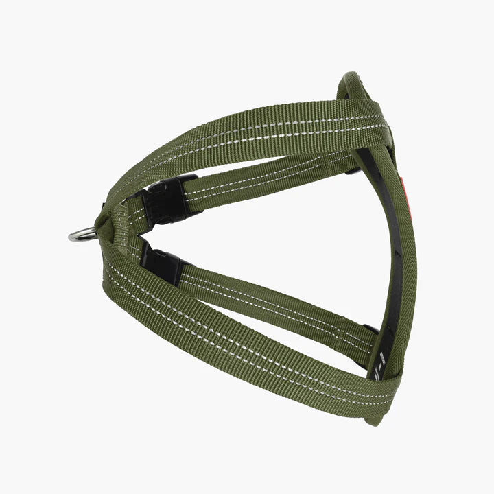 EzyDog Essential Chest Plate Harness Palm Green
