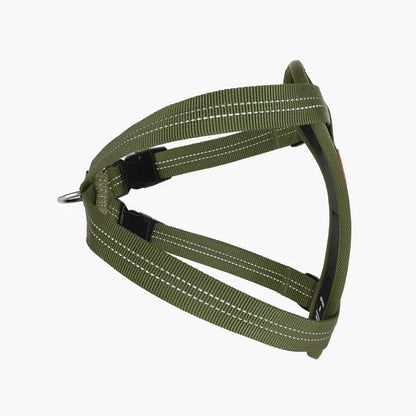 EzyDog Essential Chest Plate Harness Palm Green