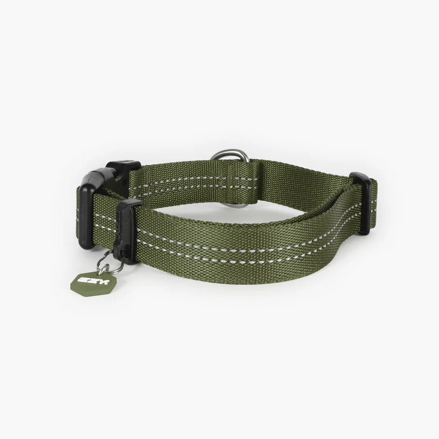 EzyDog Essential Adjustable Collar Palm Green