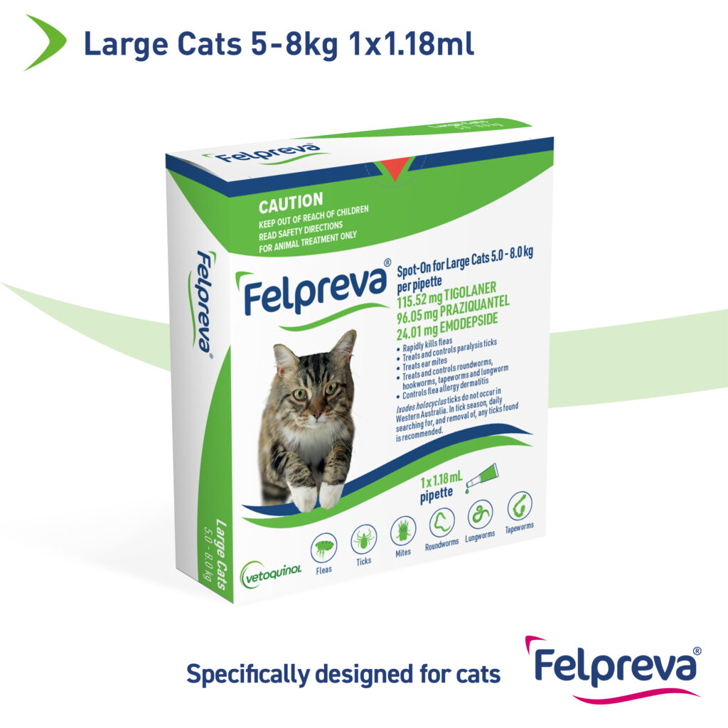 Felpreva Large Cat Spot On 5-8kg