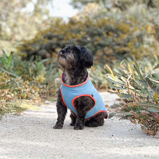 Huskimo Dog Coat Chill Blue