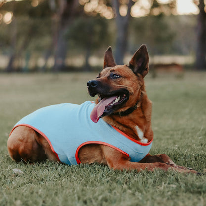 Huskimo Dog Coat Chill Blue
