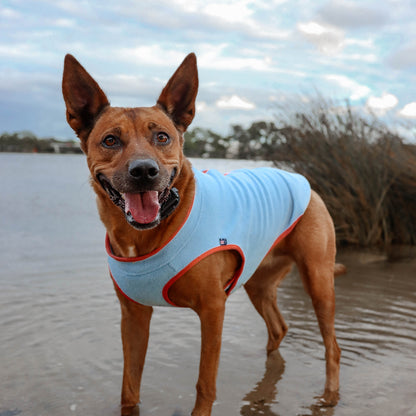 Huskimo Dog Coat Chill Blue