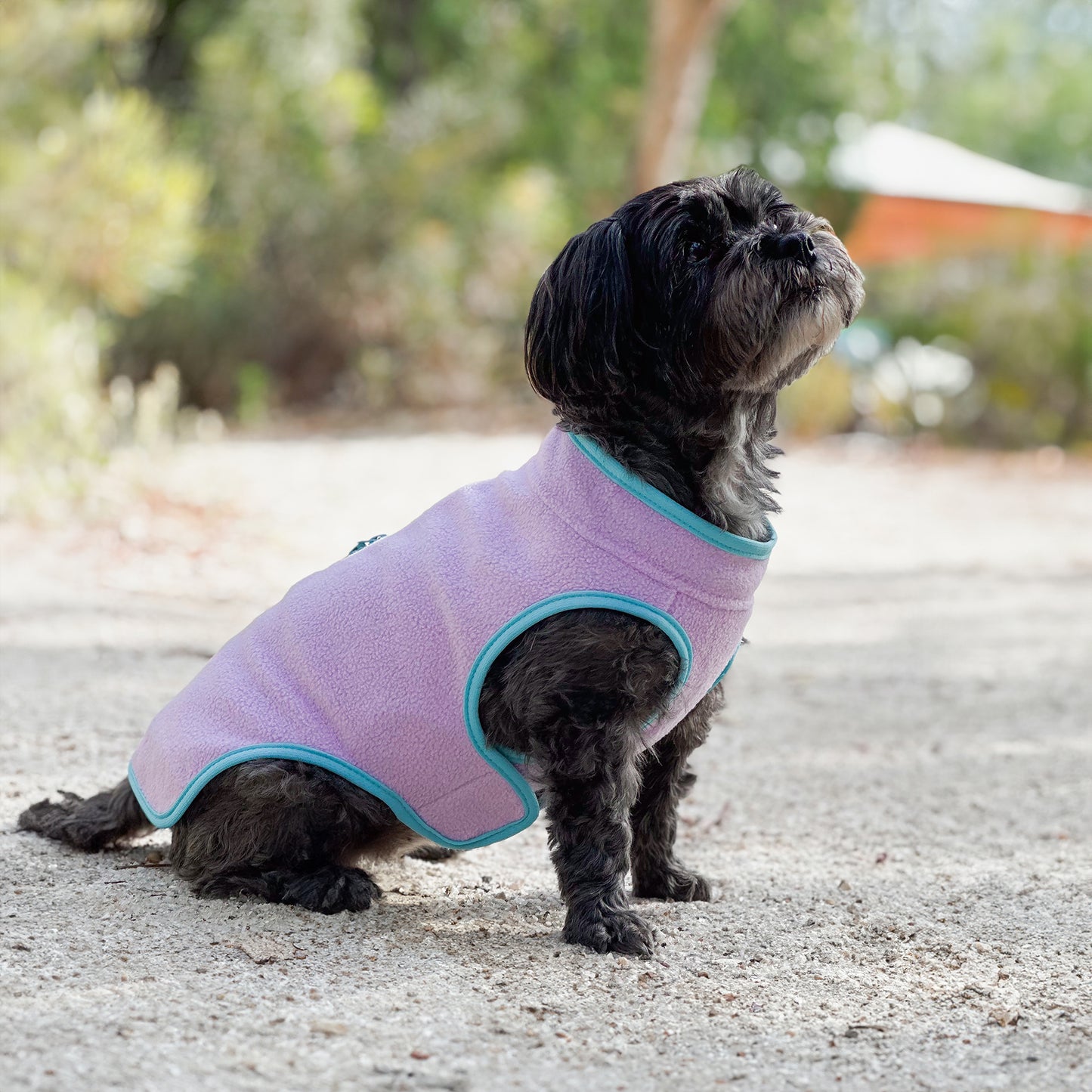 Huskimo Dog Coat Chill Mauve