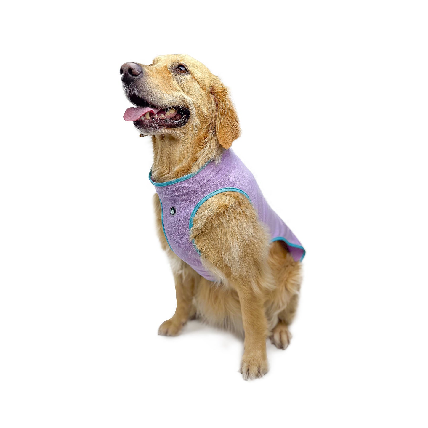 Huskimo Dog Coat Chill Mauve
