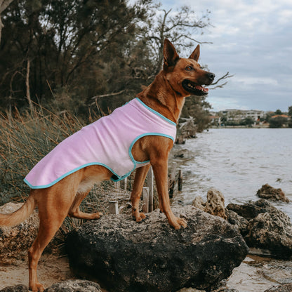 Huskimo Dog Coat Chill Mauve
