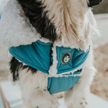 Huskimo Dog Coat Lightning Bolt Blue