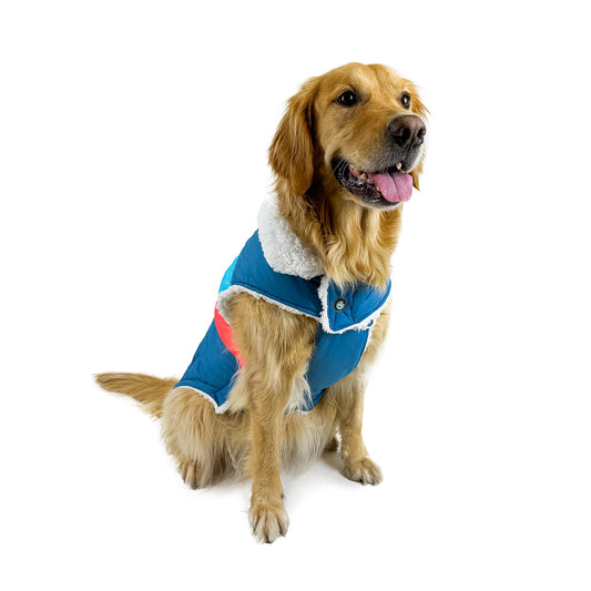 Huskimo Dog Coat Lightning Bolt Blue