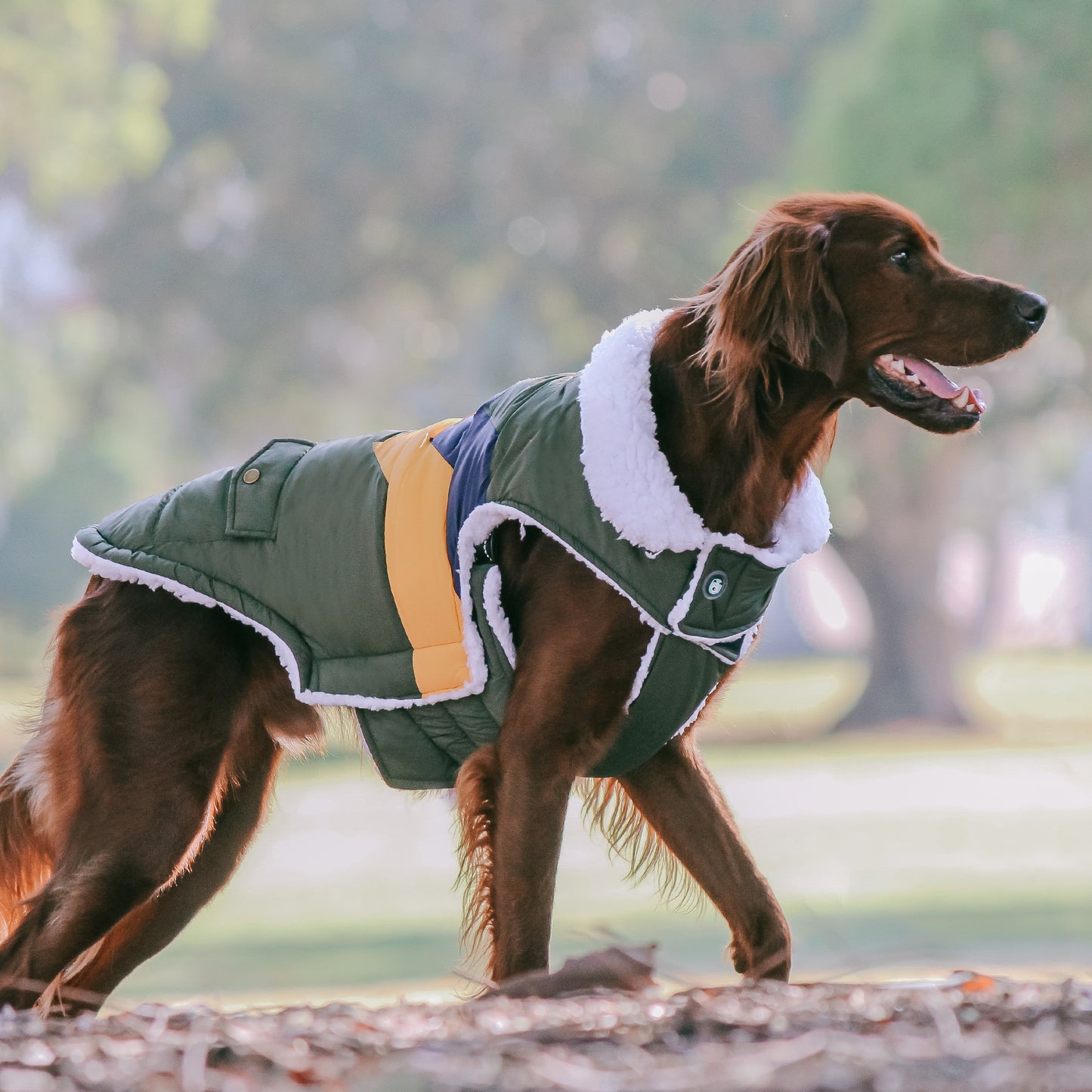 Huskimo Dog Coat Lightning Bolt Olive