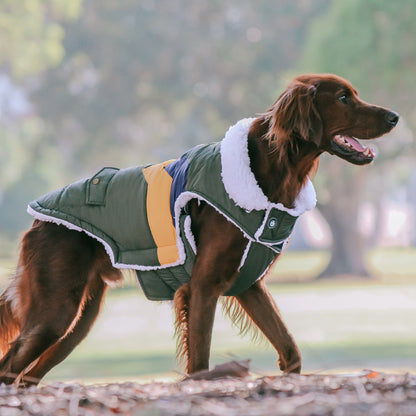 Huskimo Dog Coat Lightning Bolt Olive