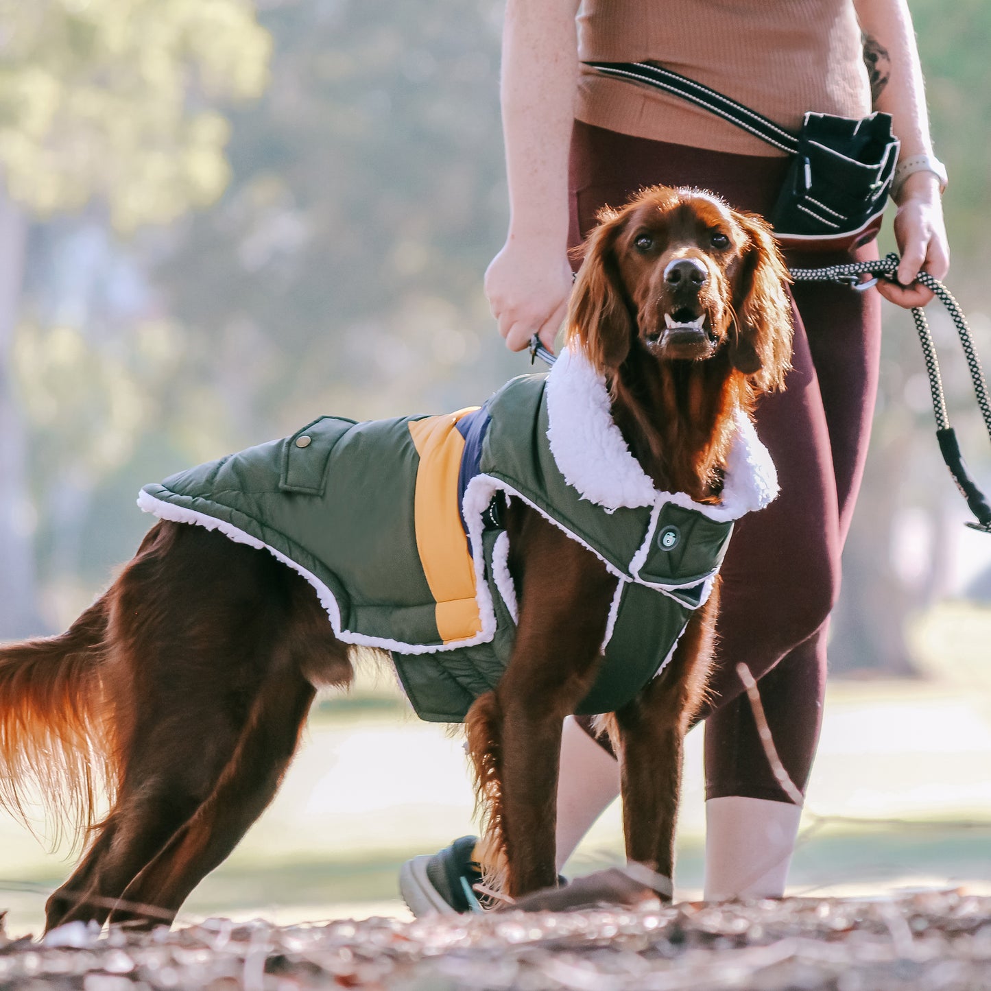 Huskimo Dog Coat Lightning Bolt Olive