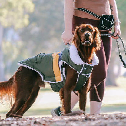 Huskimo Dog Coat Lightning Bolt Olive