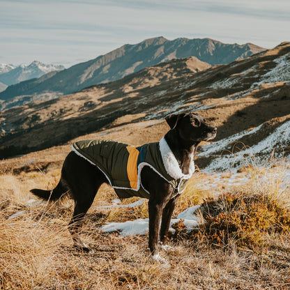 Huskimo Dog Coat Lightning Bolt Olive