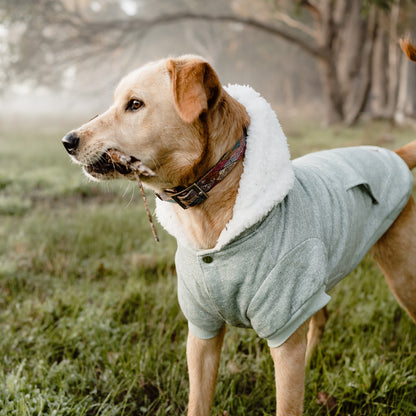 Huskimo Dog Hoodie Mt Snowy Eucalyptus