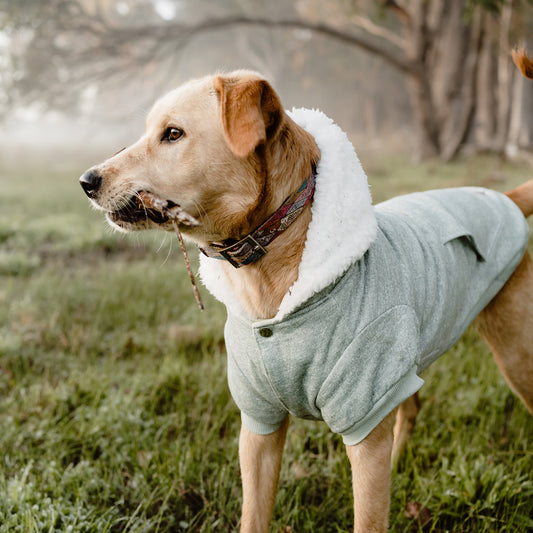 Huskimo Dog Hoodie Mt Snowy Eucalyptus