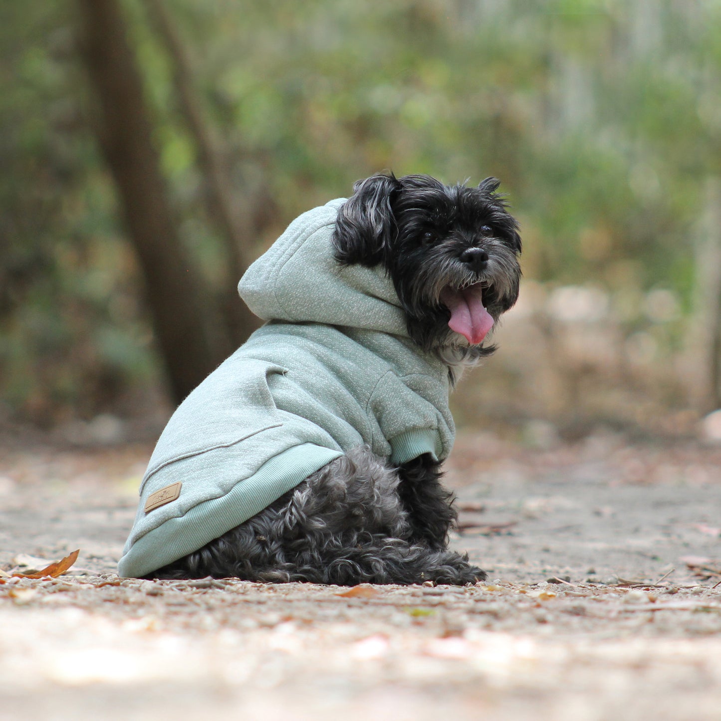 Huskimo Dog Hoodie Mt Snowy Eucalyptus