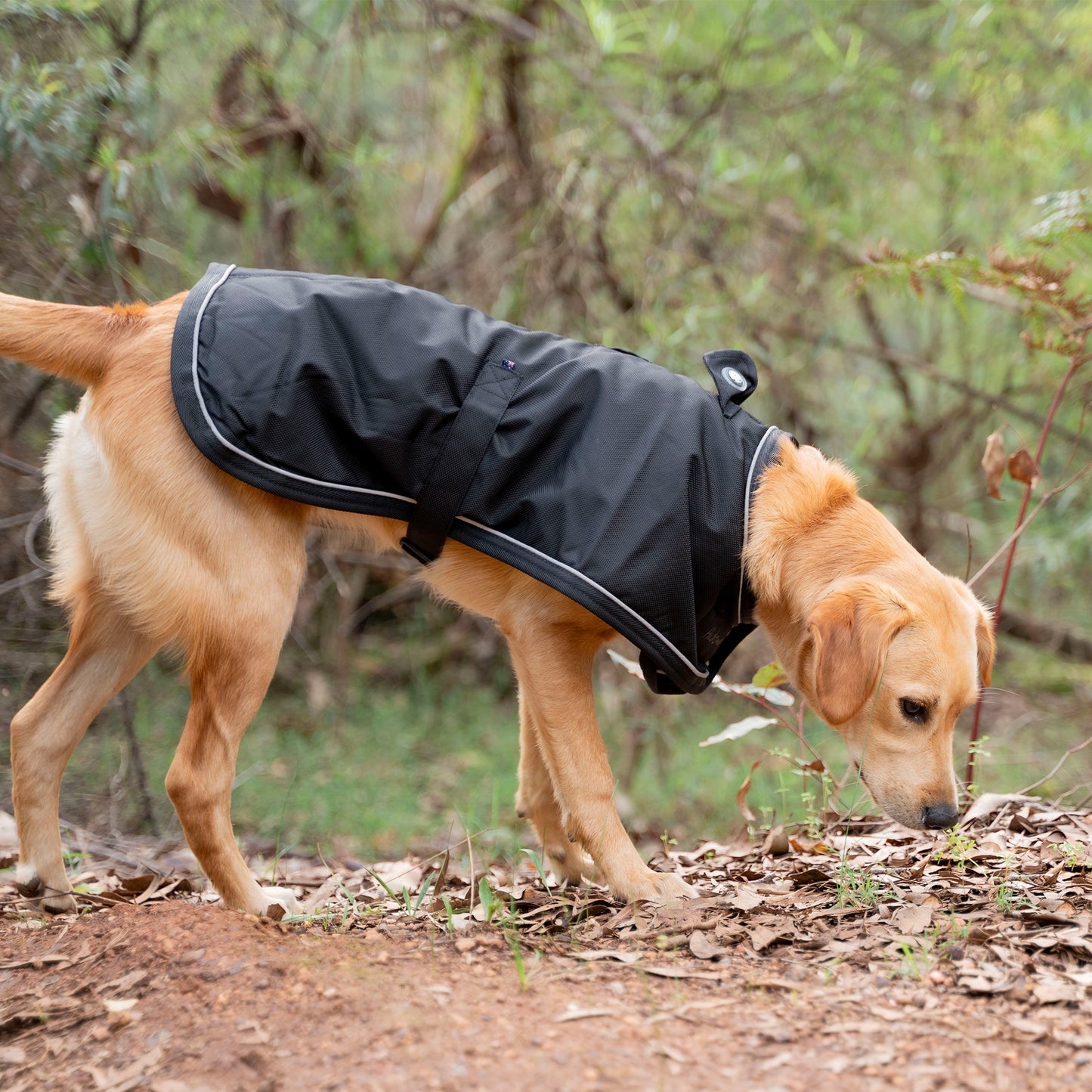 Huskimo Dog Coat Summit Pro Dark Sky