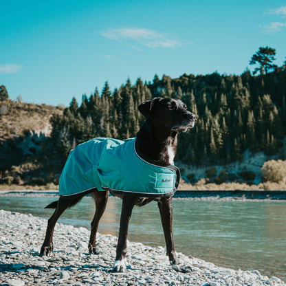 Huskimo Dog Coat Summit Pro Ningaloo