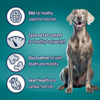 Advance Healthy Ageing Large Breed Chicken with Rice Dry Dog Food