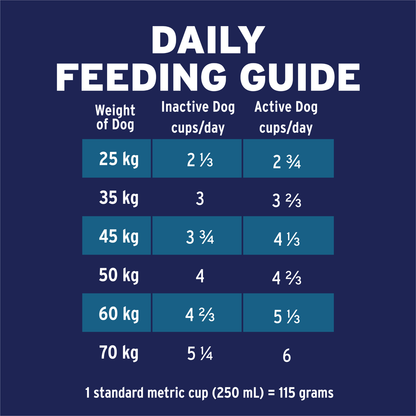Advance Healthy Ageing Large Breed Chicken with Rice Dry Dog Food