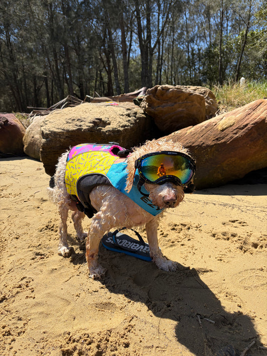 EzyDog DFD X2 Boost Life Jacket - Pit Viper