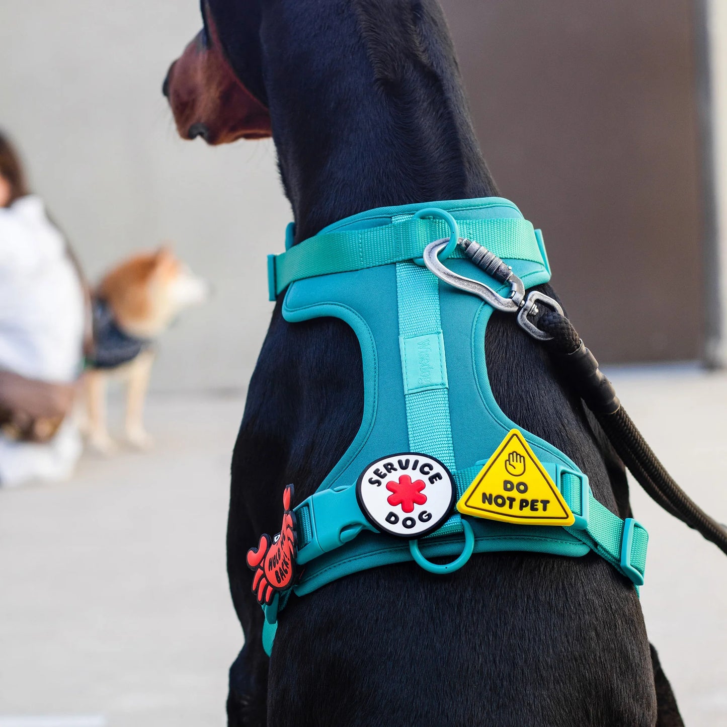 Jiby Dog Crew Dog Jibys Do Not Pet Charm