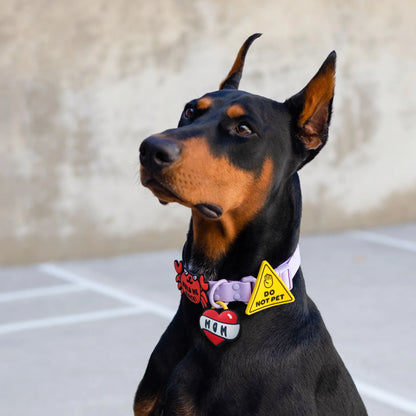 Jiby Dog Crew Dog Jibys Do Not Pet Charm