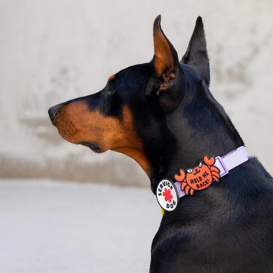 Jiby Dog Crew Dog Jibys Hold Me Back Charm