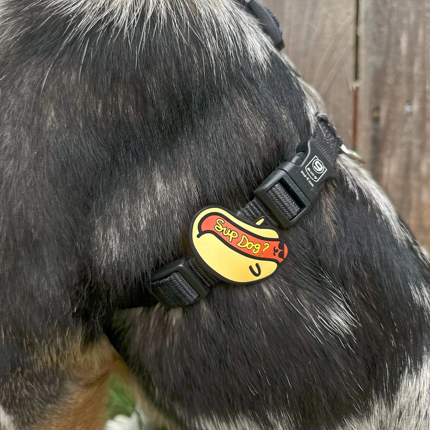 Jiby Dog Crew Dog Jibys Sup Dog Charm