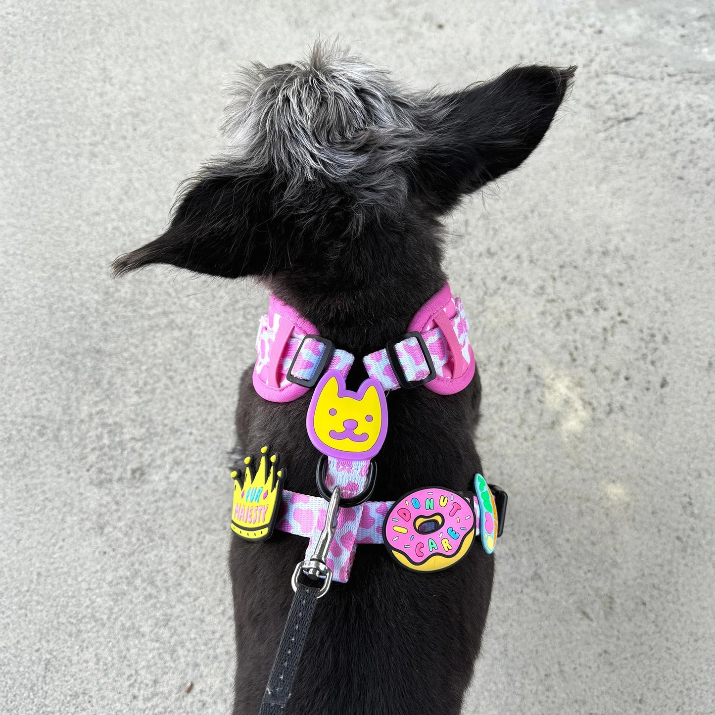 Jiby Dog Crew Dog Jibys I Donut Care Charm