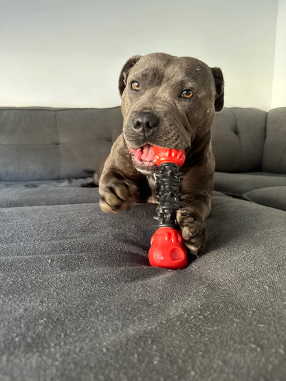 Happy Staffy Co Nylon Skull Bone