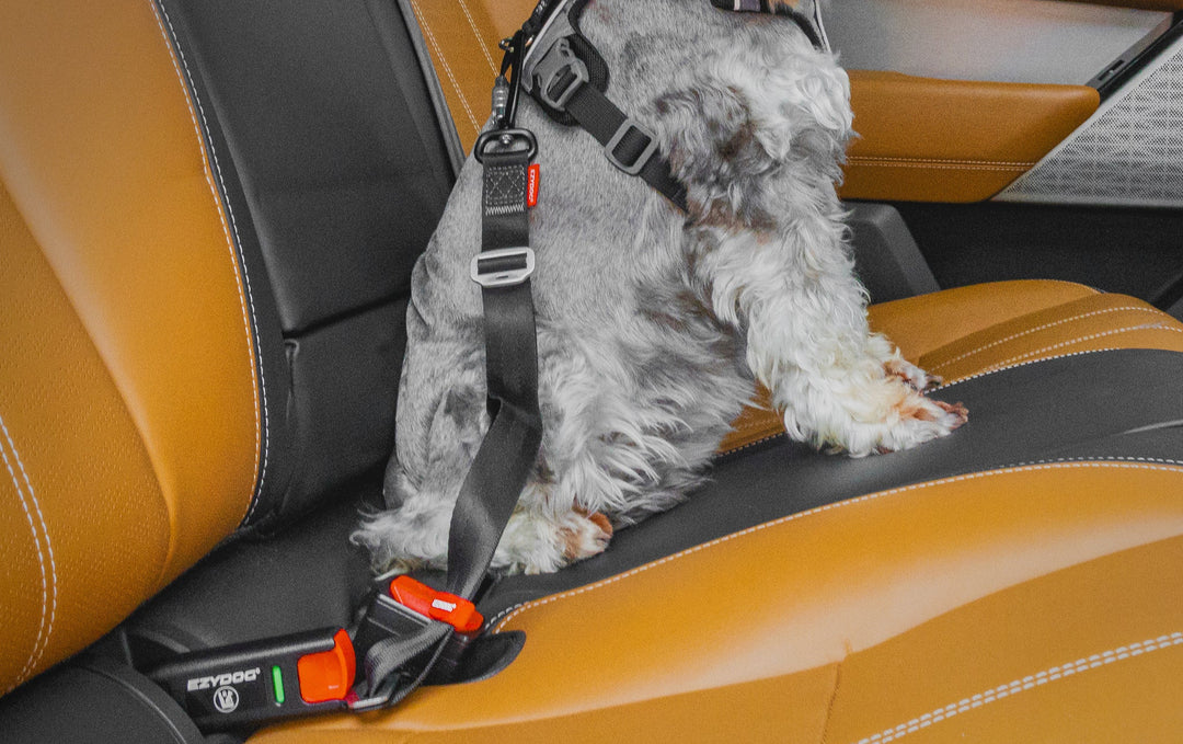 EzyDog Isofix Latch Adjustable Dog Seatbelt