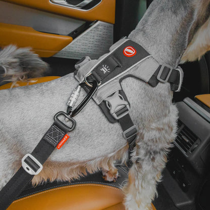 EzyDog Isofix Latch Adjustable Dog Seatbelt