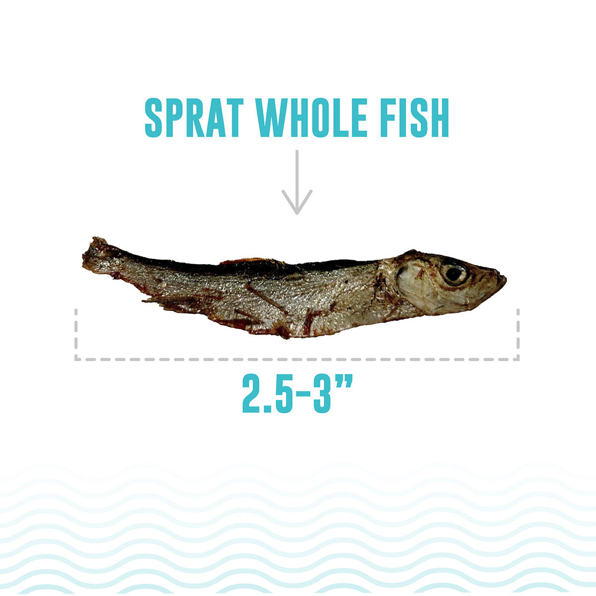 ICELANDIC+ Sprat Whole Fish Natural Dog Treats 57g
