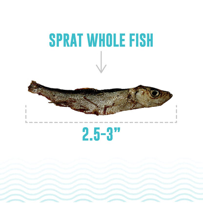 ICELANDIC+ Sprat Whole Fish Natural Dog Treats 57g