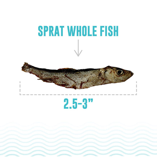 ICELANDIC+ Sprat Whole Fish Natural Dog Treats 57g