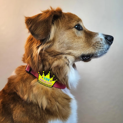 Jiby Dog Crew Dog Jibys Fur Majesty Charm
